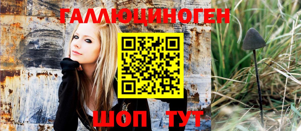 Псилоцибиновые грибы мухоморы Зерноград