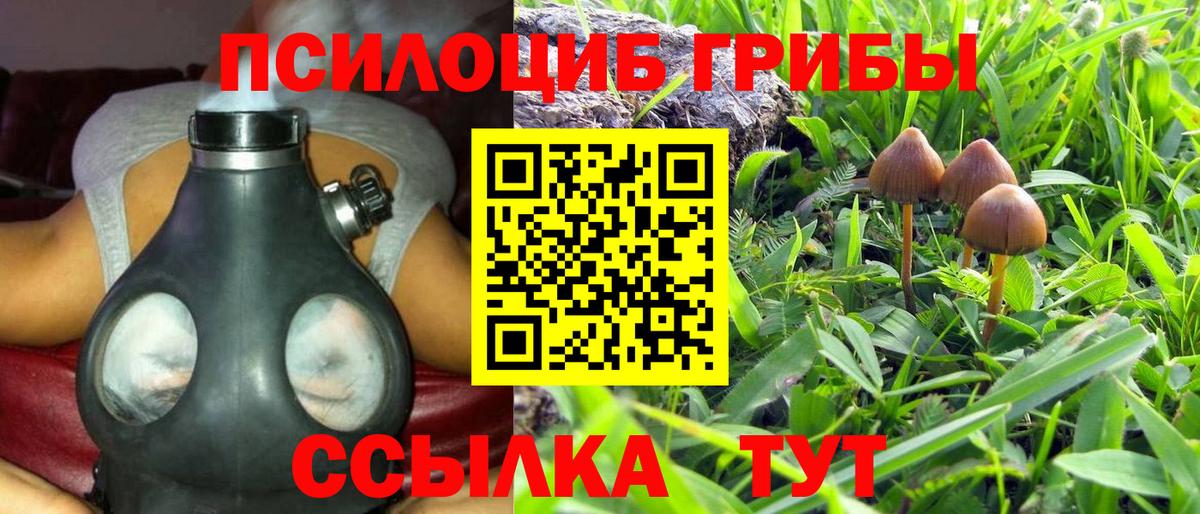 купить наркоту  Вход с VPN  Зерноград  Псилоцибиновые грибы MAGIC MUSHROOMS  Псилоцибиновые грибы прущие грибы 